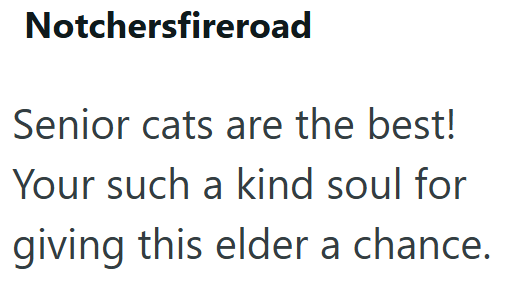 Notchersfireroad Senior cats are the best! Your such a kind soul for giving this elder a chance.