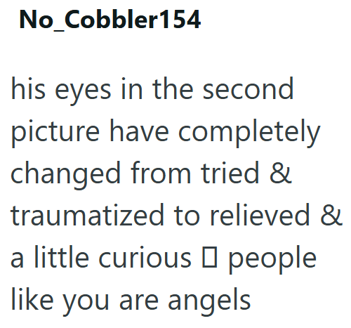 No_Cobbler154 his eyes in the second picture have completely changed from tried & traumatized to relieved & a little curious □ people like you are angels