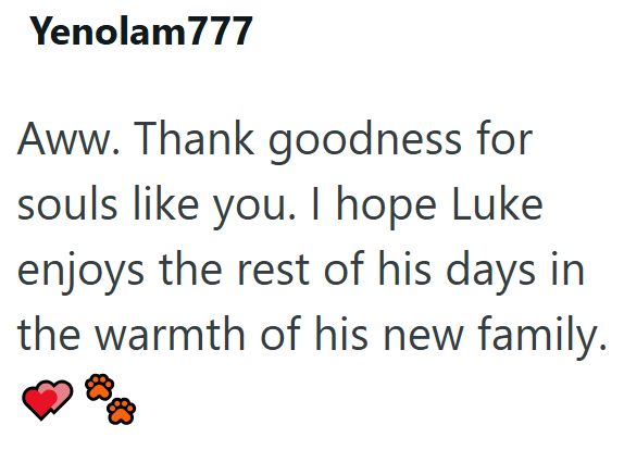 Yenolam777 Aww. Thank goodness for souls like you. I hope Luke enjoys the rest of his days in the warmth of his new family.
