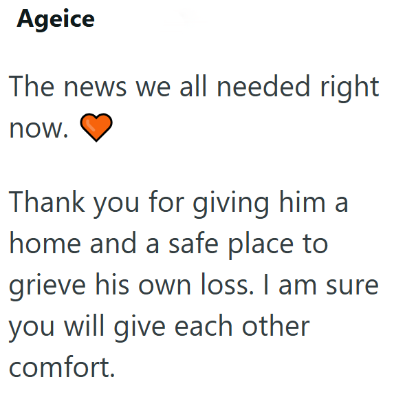 Ageice The news we all needed right now. Thank you for giving him a home and a safe place to grieve his own loss. I am sure you will give each other comfort.