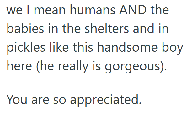 we I mean humans AND the babies in the shelters and in pickles like this handsome boy here (he really is gorgeous). You are so appreciated.