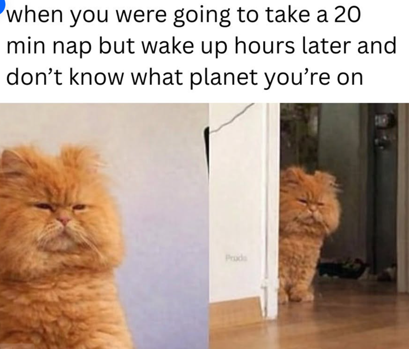 when you were going to take a 20 min nap but wake up hours later and don't know what planet you're on Prode