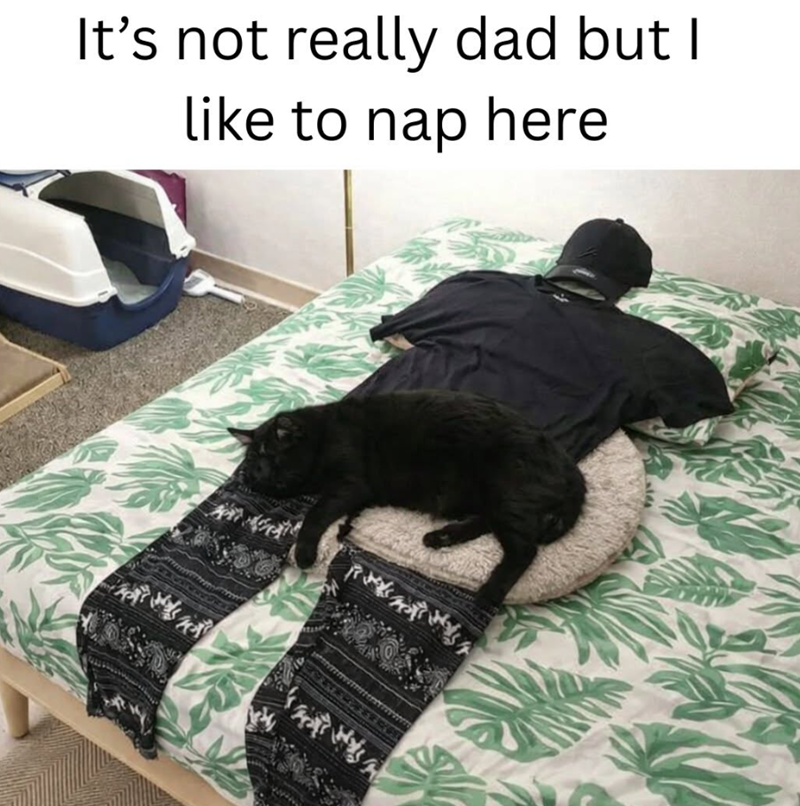 It's not really dad but I like to nap here