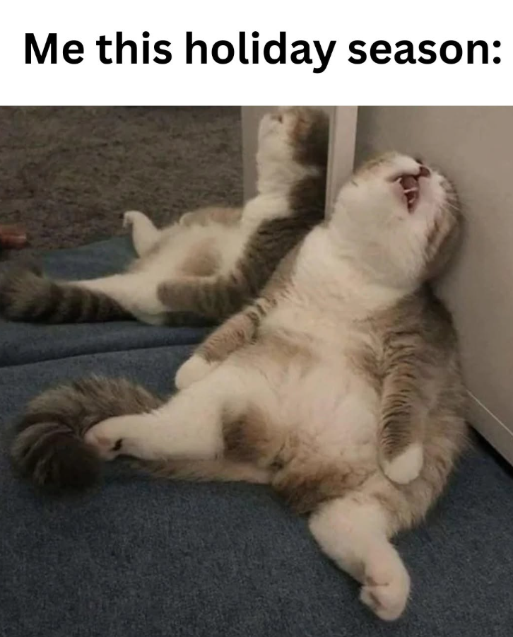 Me this holiday season: