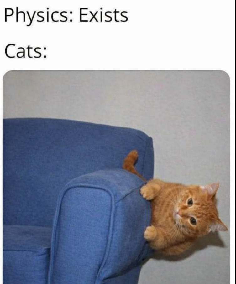 Physics: Exists Cats: