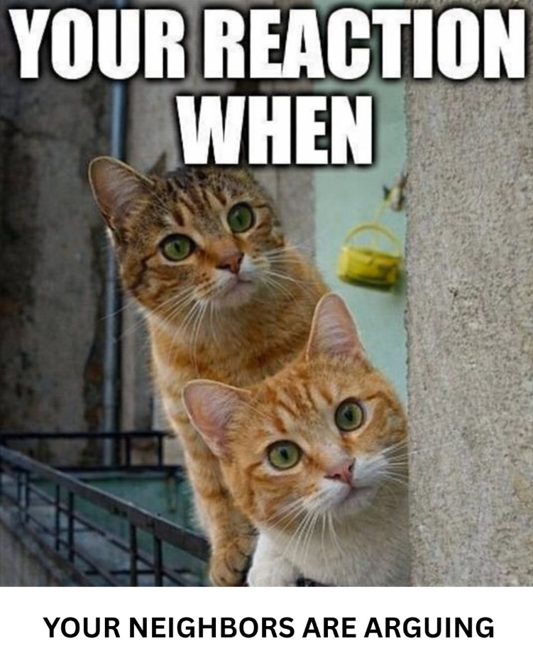 YOUR REACTION WHEN YOUR NEIGHBORS ARE ARGUING