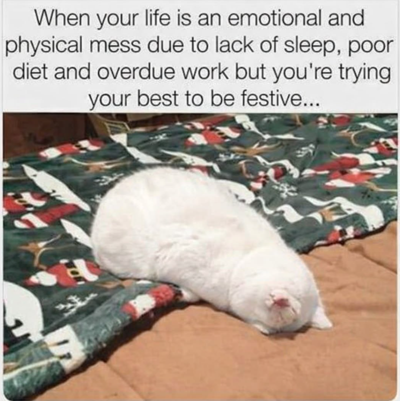 When your life is an emotional and physical mess due to lack of sleep, poor diet and overdue work but you're trying your best to be festive...