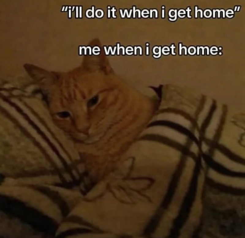 "i'll do it when i get home" me when i get home: