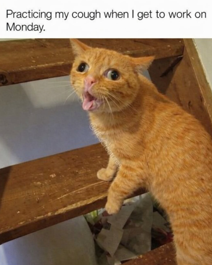 Practicing my cough when I get to work on Monday. @dasCreatures