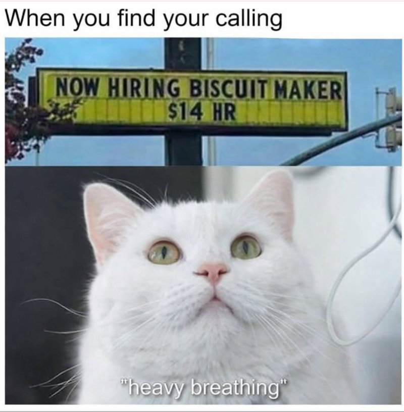 When you find your calling. NOW HIRING BISCUIT MAKER $14 HR "heavy breathing"