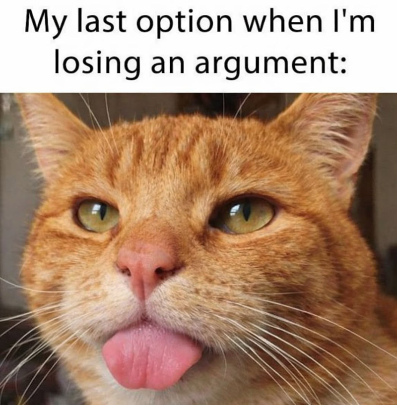 My last option when I'm losing an argument: