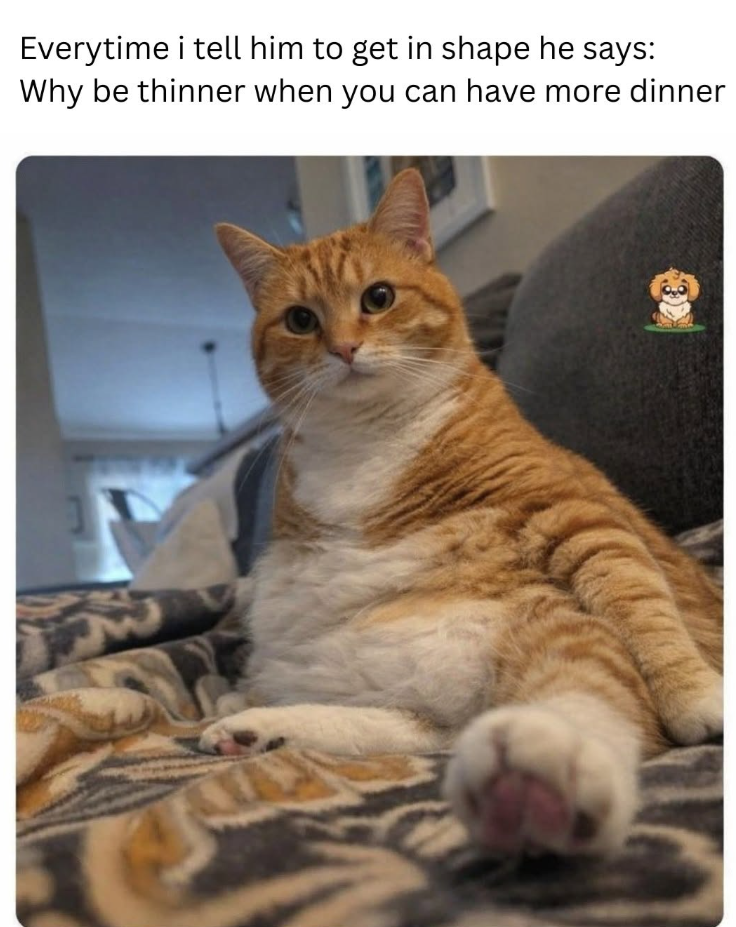 Everytime i tell him to get in shape he says: Why be thinner when you can have more dinner
