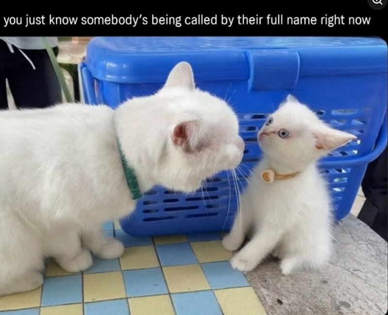 you just know somebody's being called by their full name right now