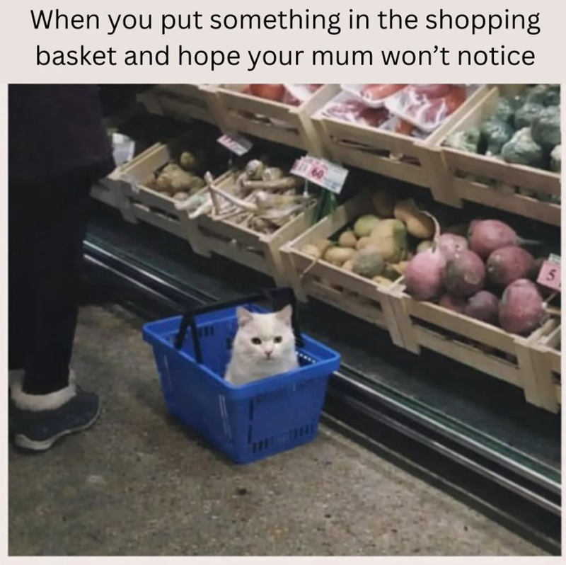 When you put something in the shopping basket and hope your mum won't notice 71160 5