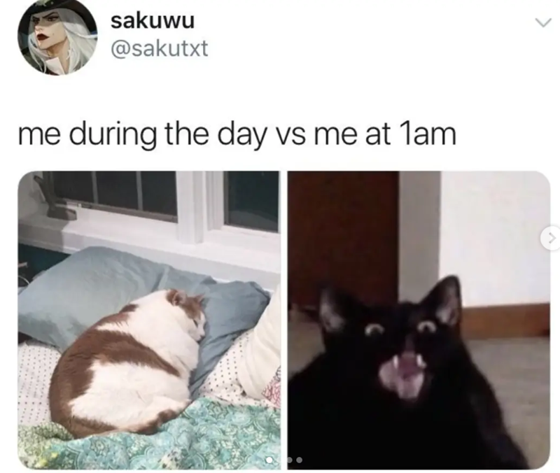 sakuwu @sakutxt me during the day vs me at 1am