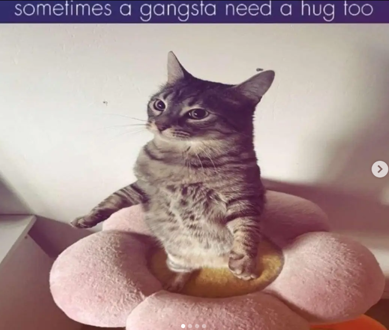 sometimes a gangsta need a hug too >