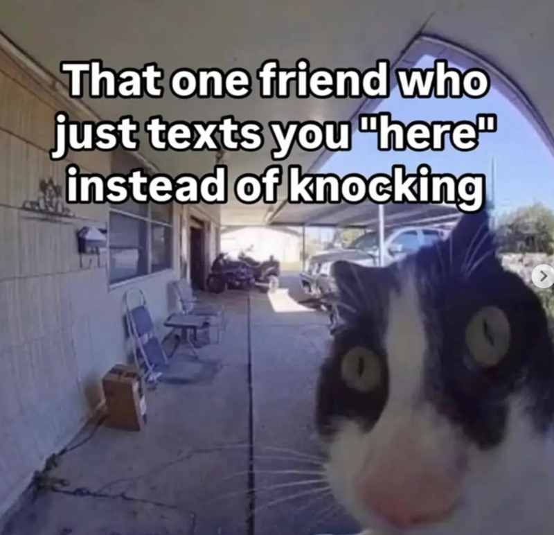 That one friend who just texts you "here" instead of knocking >