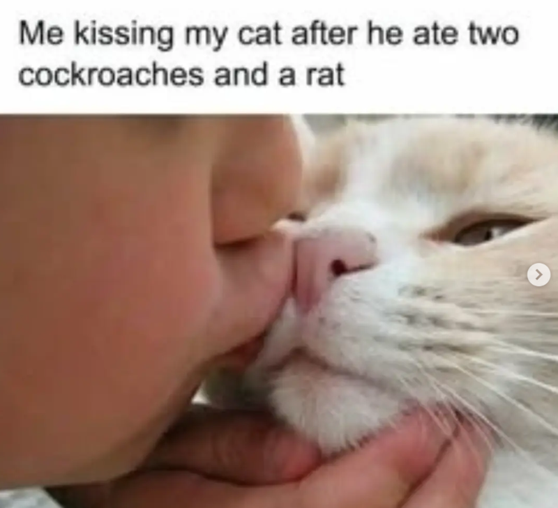 Me kissing my cat after he ate two cockroaches and a rat >