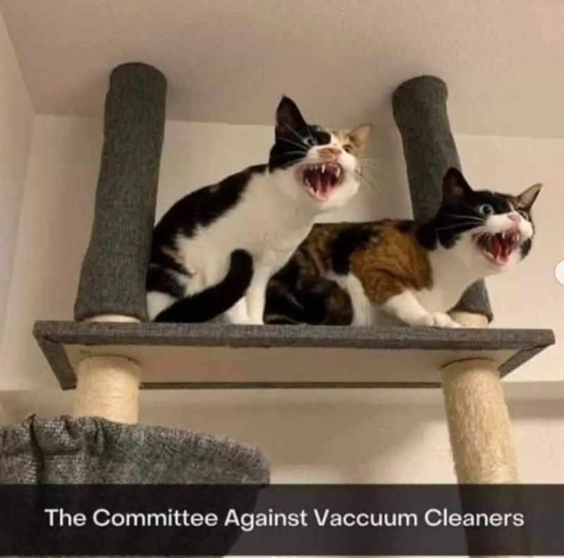 The Committee Against Vaccuum Cleaners