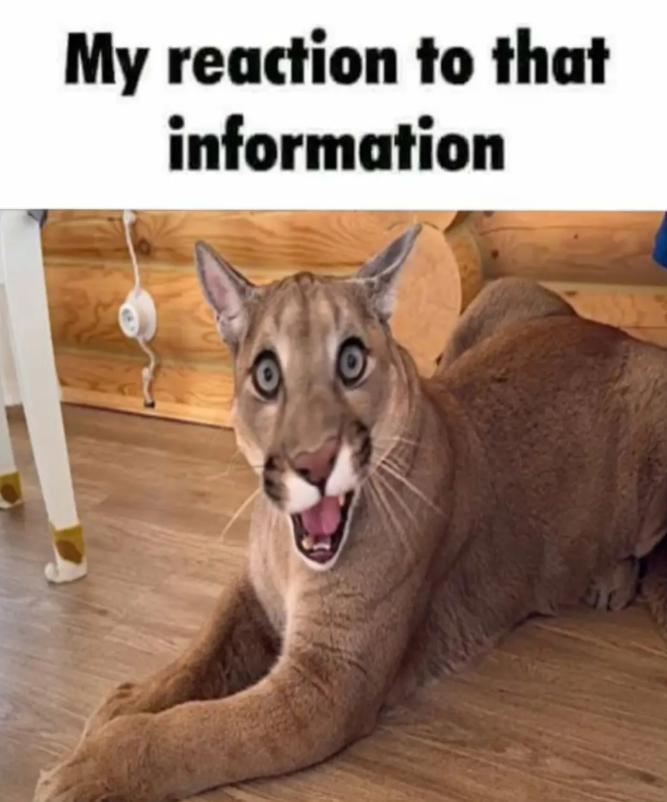 My reaction to that information