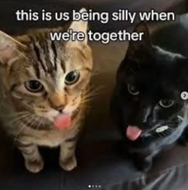 this is us being silly when we're together >