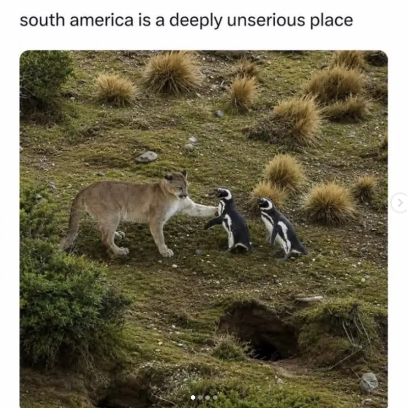 south america is a deeply unserious place