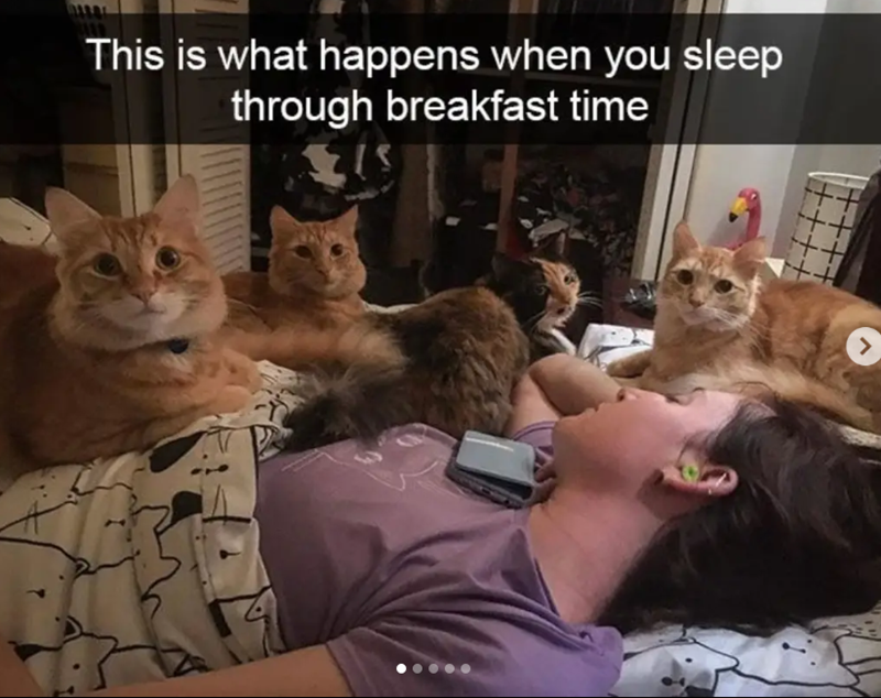 This is what happens when you sleep through breakfast time ++ 十七 ++ >