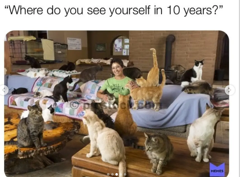 "Where do you see yourself in 10 years?" .com MEMES