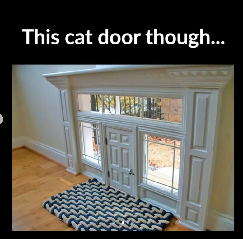 This cat door though...