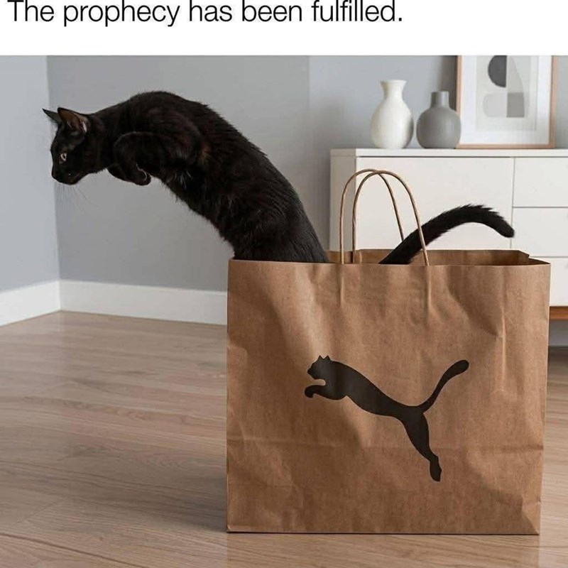 The prophecy has been fulfilled.