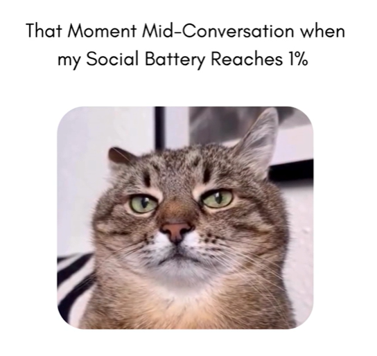 That Moment Mid-Conversation when my Social Battery Reaches 1%