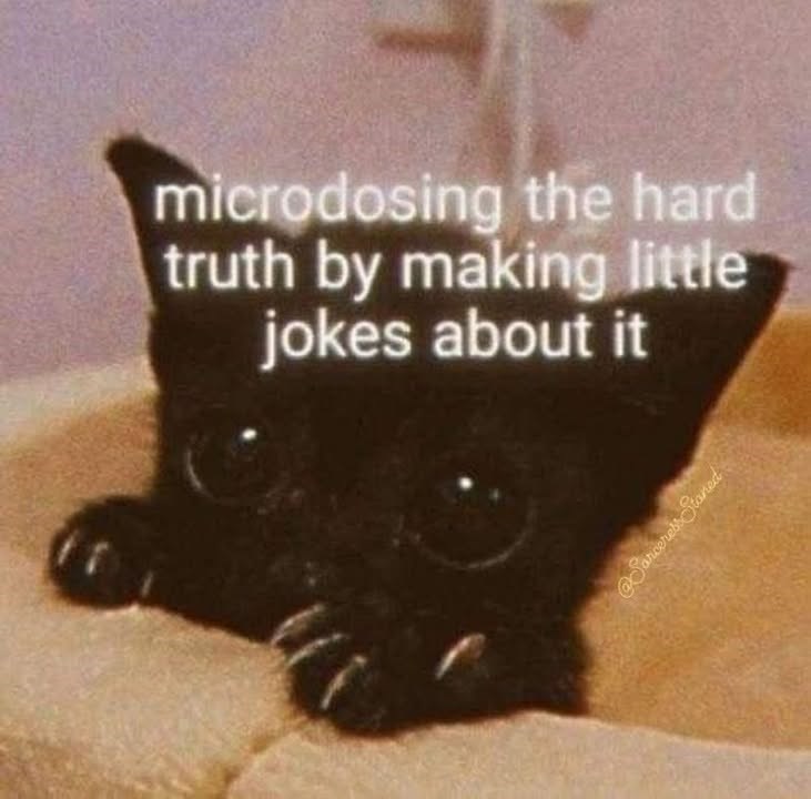 microdosing the hard truth by making little jokes about it @Sarceress Staned