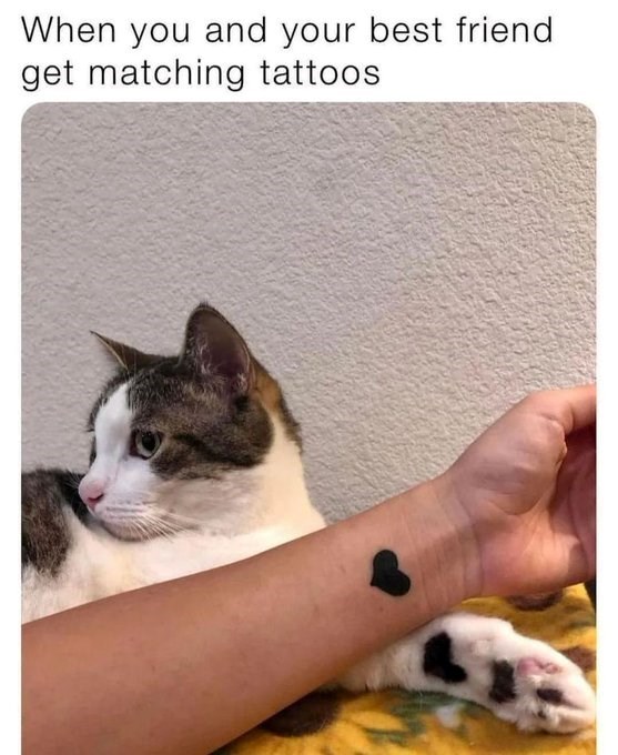 When you and your best friend get matching tattoos