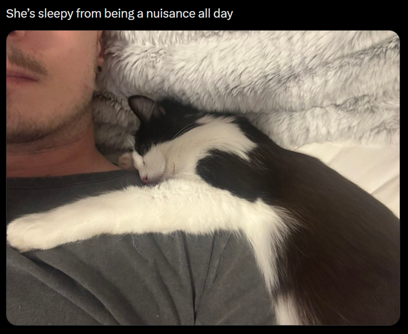 She's sleepy from being a nuisance all day