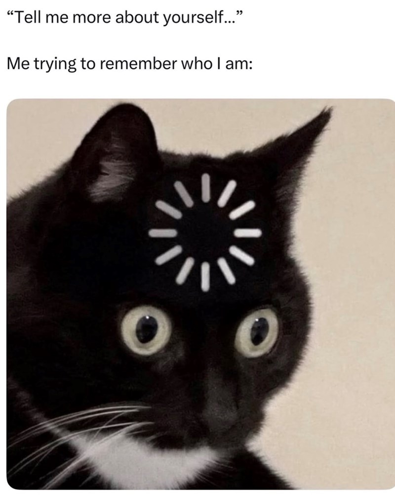 "Tell me more about yourself...” Me trying to remember who I am: 00