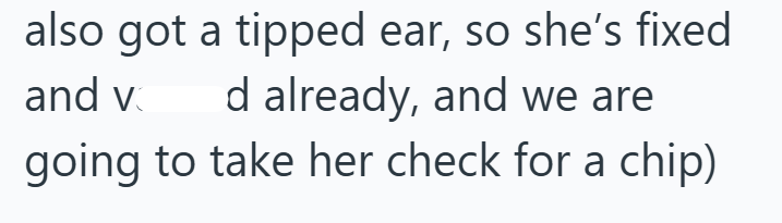 also got a tipped ear, so she's fixed and v d already, and we are going to take her check for a chip)