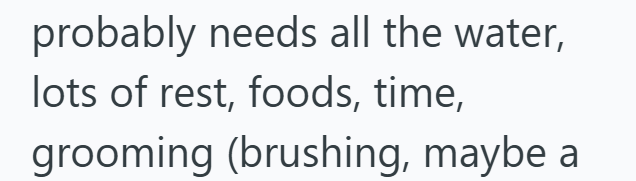 probably needs all the water, lots of rest, foods, time, grooming (brushing, maybe a