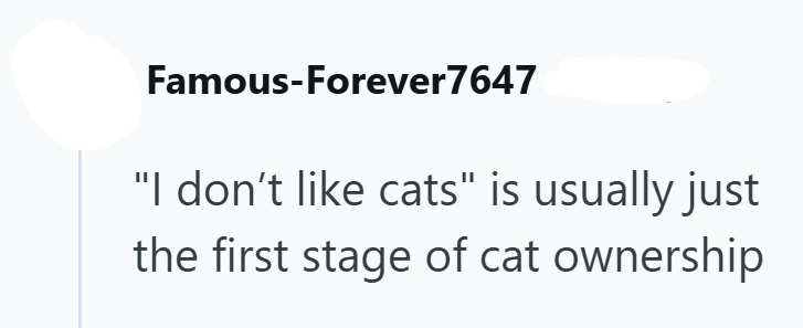 Famous-Forever7647 "I don't like cats" is usually just the first stage of cat ownership