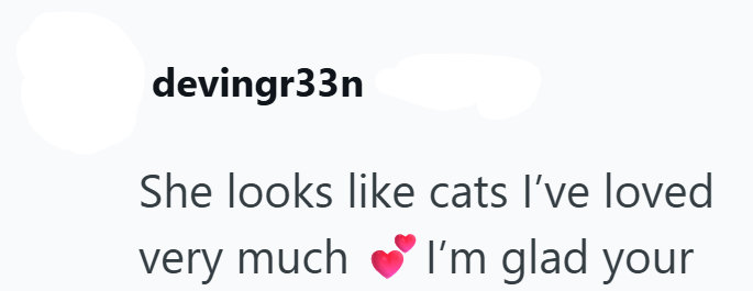 devingr33n She looks like cats I've loved very much I'm glad your