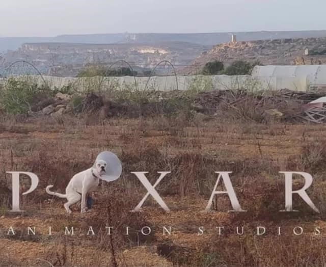 PXAR ANIMATION STUDIOS