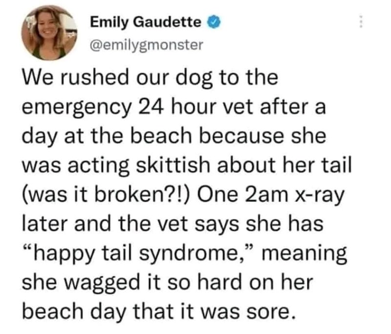 Emily Gaudette ✔ @emilygmonster We rushed our dog to the emergency 24 hour vet after a day at the beach because she was acting skittish about her tail (was it broken?!) One 2am x-ray later and the vet says she has "happy tail syndrome," meaning she wagged it so hard on her beach day that it was sore.