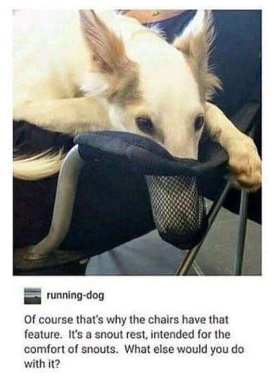 running-dog Of course that's why the chairs have that feature. It's a snout rest, intended for the comfort of snouts. What else would you do with it?