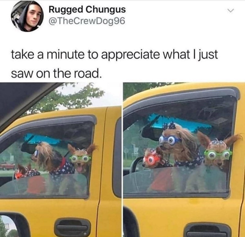 Rugged Chungus @TheCrewDog96 take a minute to appreciate what I just saw on the road. O