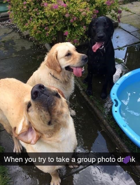 When you try to take a group photo dronk