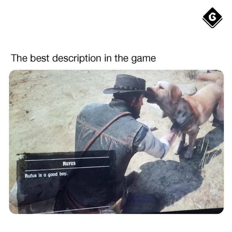 The best description in the game RUFUS Rufus is a good boy. G