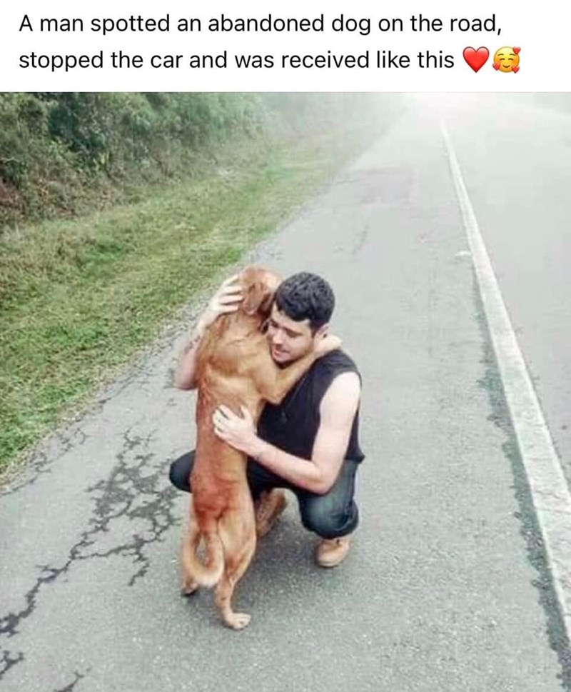 A man spotted an abandoned dog on the road, stopped the car and was received like this