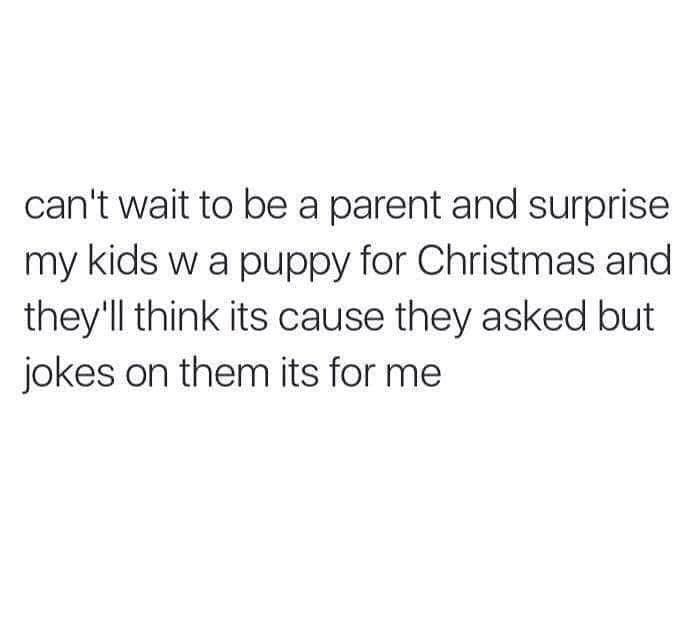 can't wait to be a parent and surprise my kids w a puppy for Christmas and they'll think its cause they asked but jokes on them its for me