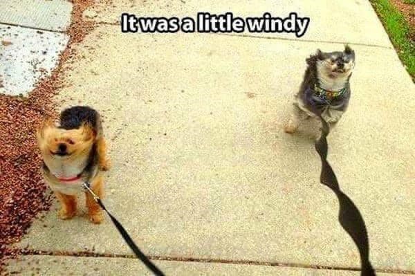 It was a little windy