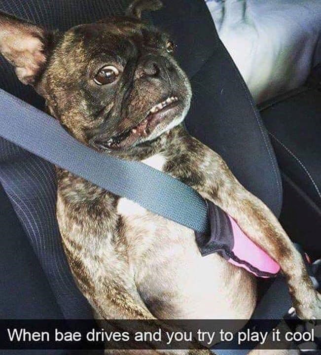 When bae drives and you try to play it cool