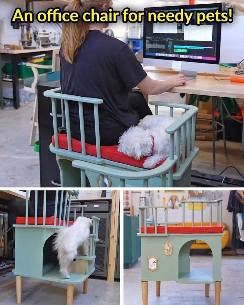 An office chair for needy pets!